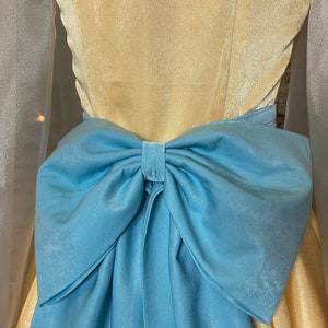 May include: A light blue bow tied at the back of a gold dress.