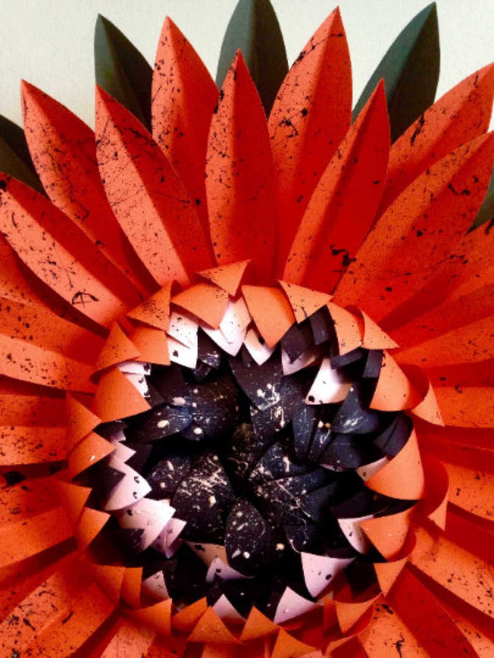 Giant papaya paper flower floral wall decor photoshoot Etsy