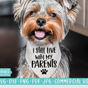 Funny Dog SVG - Still Live With My Parents Dog Bandana SVG Cut File, Commercial Use Cut Files, Cricut or Silhouette, Dog Lover SVG