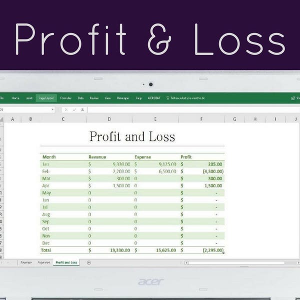 Business Profit and Loss - Revenue and Expense Tracker
