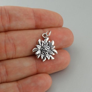 Edelweiss pandora charm top