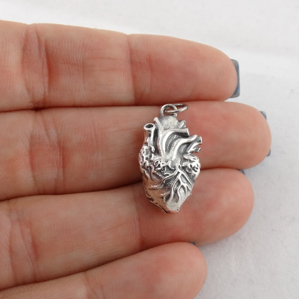 3D Anatomical Human Heart Pendant Charm - 925 Sterling Silver - Anatomically Correct Heart 22mm x 14mm