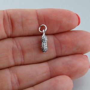 May include: A silver peanut charm with a detailed textured surface. The charm has a loop at the top for attaching to a necklace or bracelet.