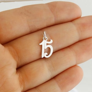 May include: A small, silver charm in the shape of the number 15. The charm has a loop at the top for attaching to a necklace or bracelet. The number is in a stylized font. The charm is held in a hand.