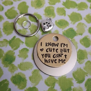 I know I'm cute but you can't have me - cat dog tag pet tag ID #PoshTags Collar Christmas Gift Idea