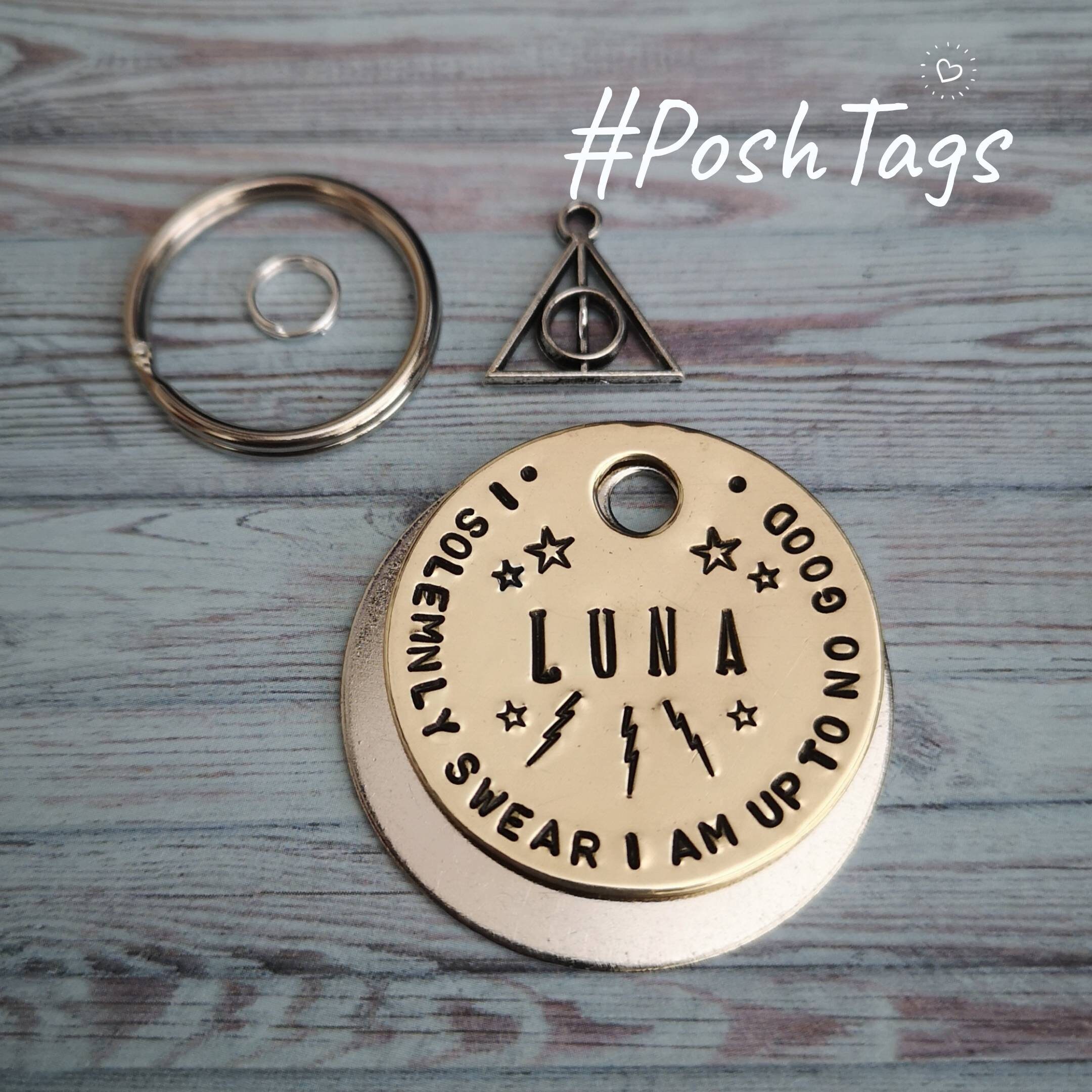 I am up to no good - pet cat dog ID tag - 3 sizes  #PoshTags