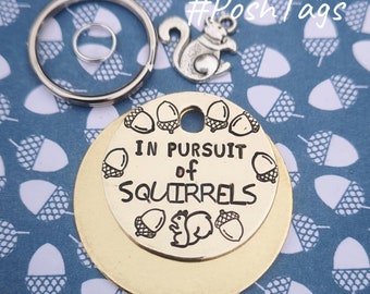 In pursuit of squirrels - acorns - funny cat dog tag pet tag ID #PoshTags Collar Christmas Gift Idea