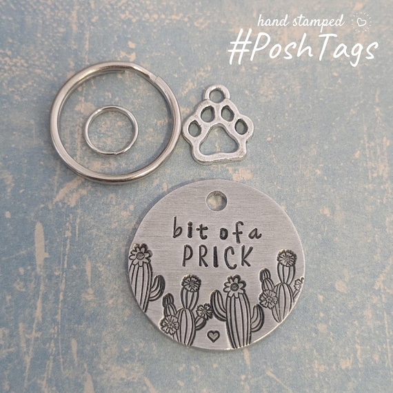 Kleine spitze doppelseitige Marke - Kaktus Sukkulente - 2 Gren - Katze  Hund Haustieranhnger ID #PoshTags Halsband Weihnachten Geschenkidee -  Etsy.de