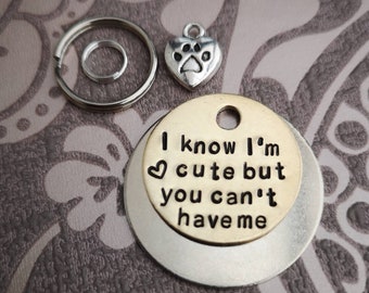 I know I'm cute but you can't have me - 3 SIZES - cat dog pet tag ID #PoshTags Collar Christmas Gift Idea