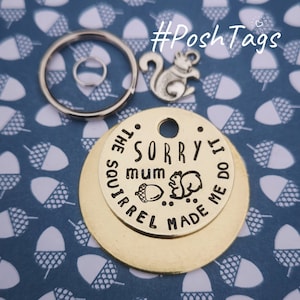 Sorry mum, the squirrel made me do it! 3 sizes - cat dog pet tag ID #PoshTags Collar Christmas Gift Idea