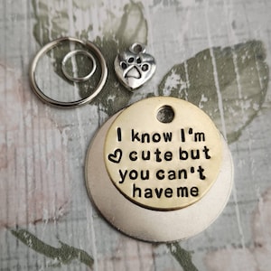 I know I&#39;m cute but you can&#39;t have me - dog tag pet tag ID Collar Christmas Gift Idea