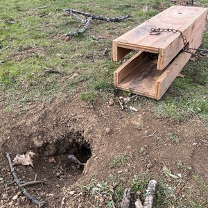 Conibear Eichhörnchenfalle Box Pläne