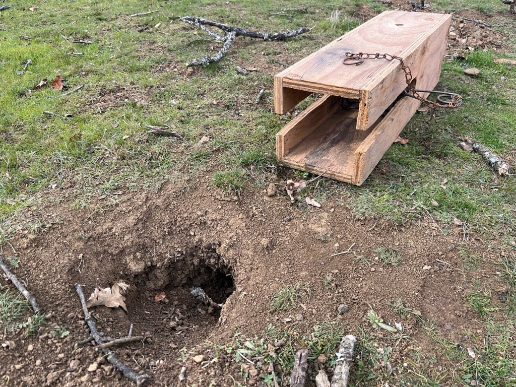 Conibear Squirrel Trap Box Plans Etsy