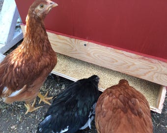 Chicken Feeder Plans (PDF)