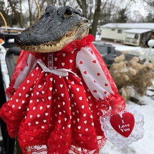 Taxidermy Alligator, Valloween, Valentines Day, Porcelain Doll