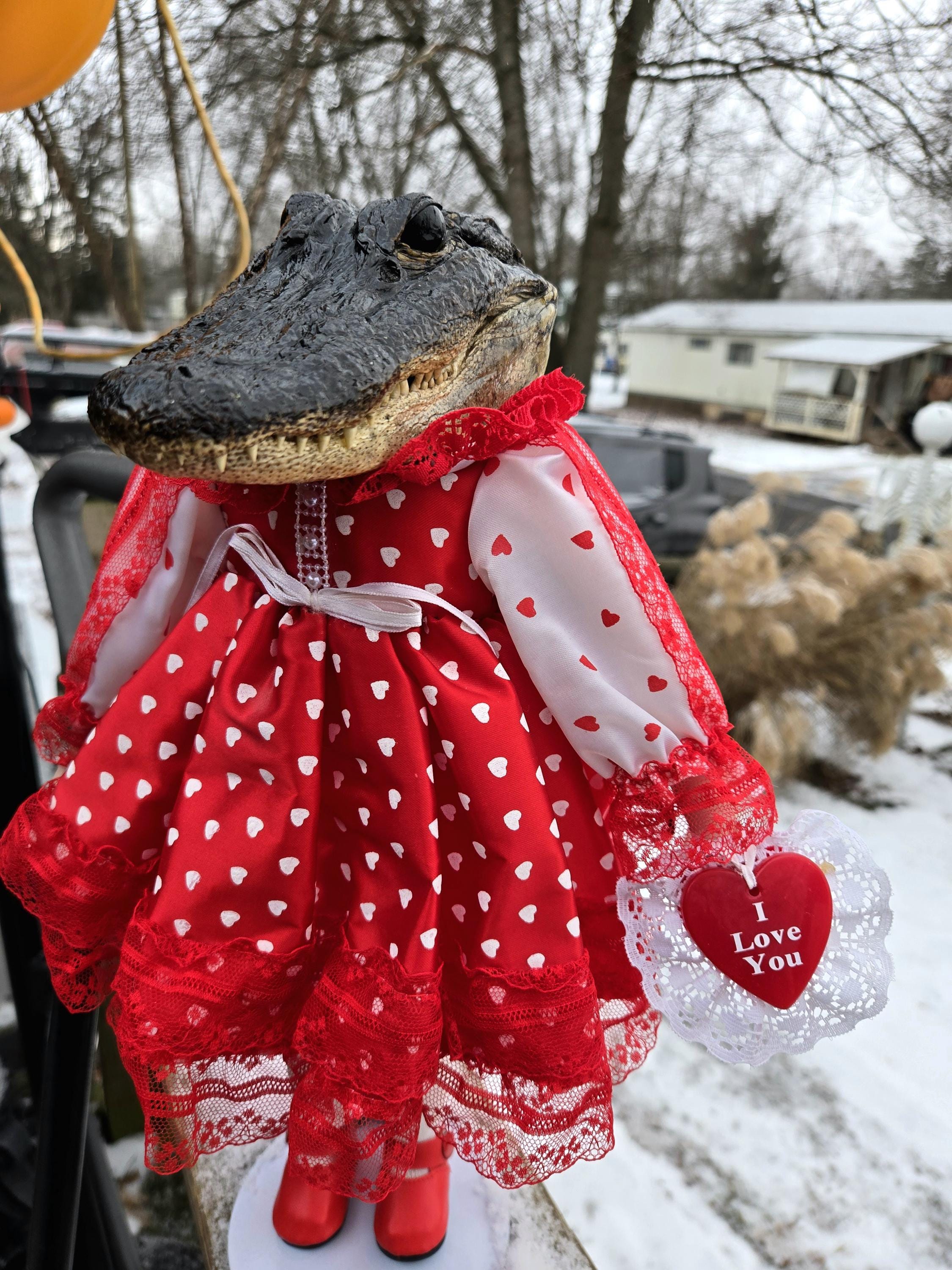 Taxidermy Alligator, Valloween, Valentines Day, Porcelain Doll