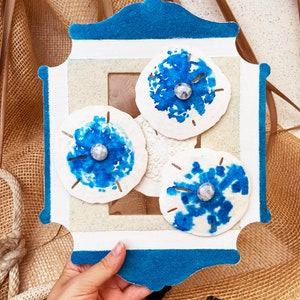 Sand Dollar Wall Art: Coastal Cottage Core Decor, Handmade Florida Artwork (11x9&quot;)