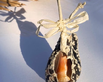 Hand-Painted Seashell Christmas Ornament: Nautical Coastal Decor