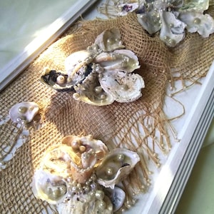 Arte de pared con concha de ostra de 54 x 24 cm: decoración costera bohemia, tapiz texturizado