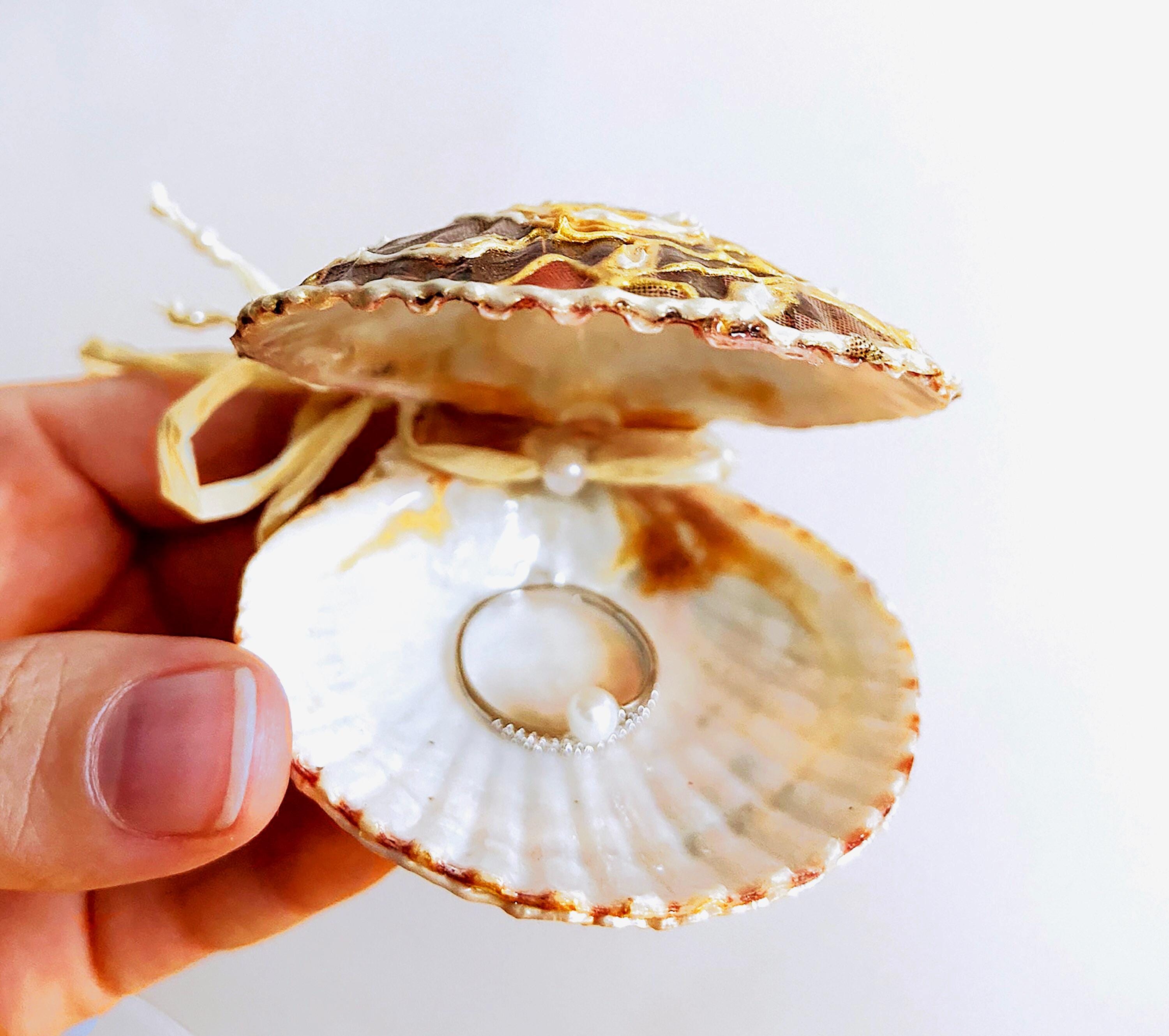 貝の置物 0e6e45218d0bd2ef7c865efe948319