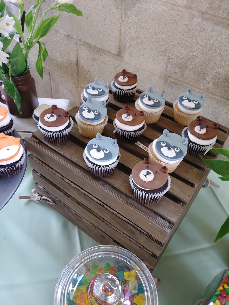 12ct Fondant woodland cupcake topper Bear & racoon