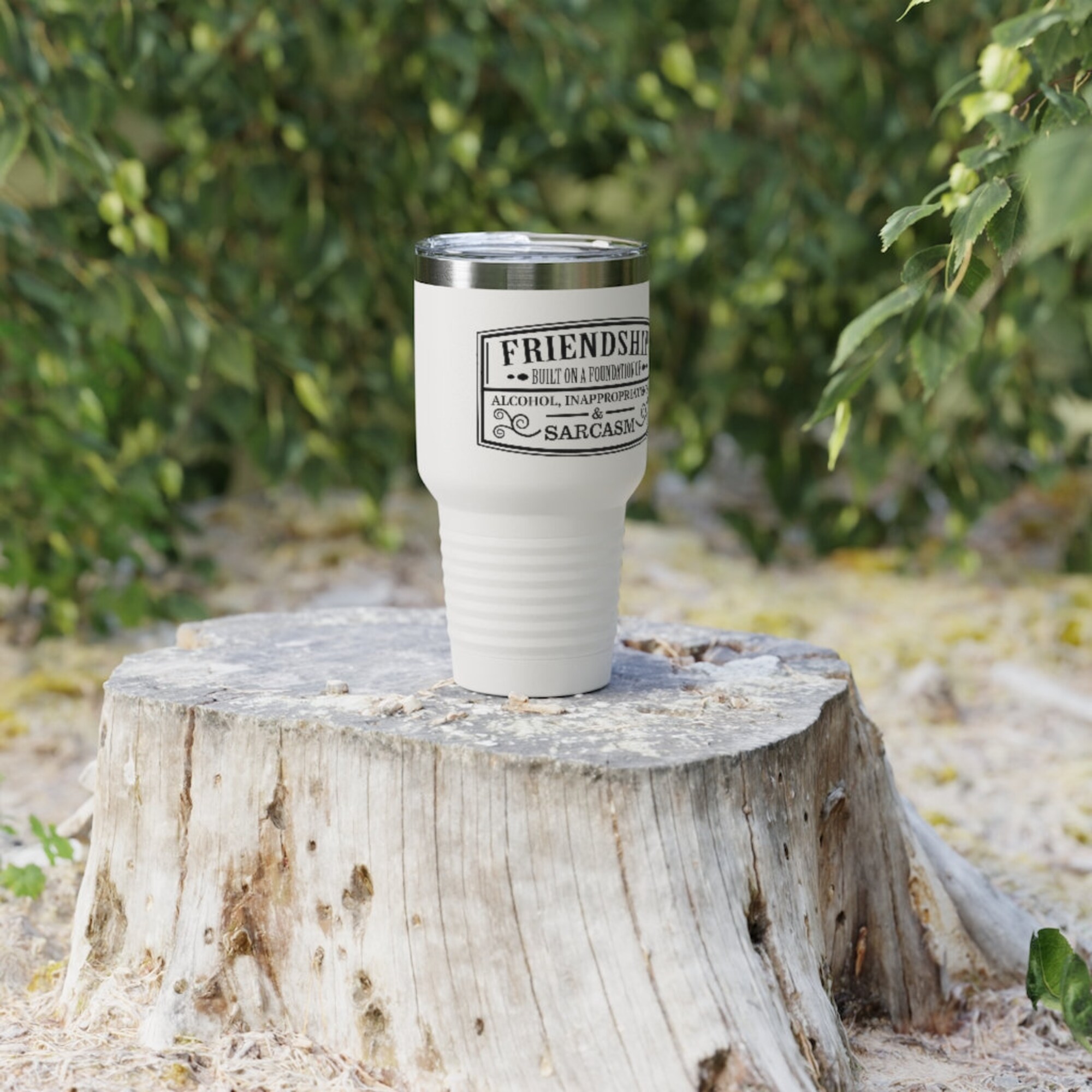 Discover Friendship Funny Graphic Insulated Ringneck Tumbler