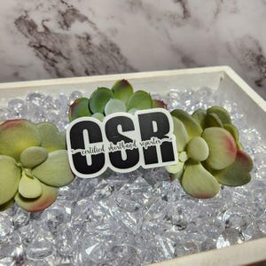 CSR Certified Shorthand Reporter, Court Reporter, Stenographer Kiss-Cut Stickers