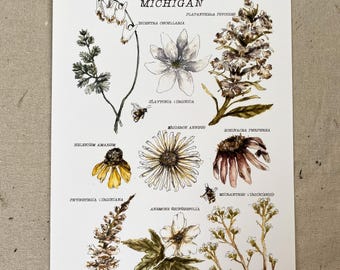 Acuarela de flores silvestres nativas de Michigan, impresión de artista, 11 x 17"