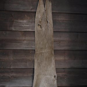 以下が含まれることがあります： 暗い茶色の木の壁に掛けられた、ベージュ色の細長い布。布は上部が割れており、粗い質感といくつかの穴があり、古くなっているように見えます。木の木目がはっきりと見えます。