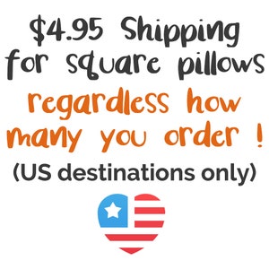 May include: Text graphic with the words "$4.95 Shipping for square pillows regardless how many you order! (US destinations only)" in black and orange. A red, white, and blue heart with a white star is below the text.