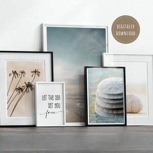May include: Set of five framed prints with beach themes. The prints feature a stack of sand dollars, a seashell, palm trees, and a quote that reads "Let the sea set you free".