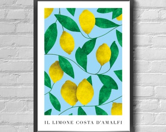 The Amalfi Coast Lemon - Illustrated Art Print Poster