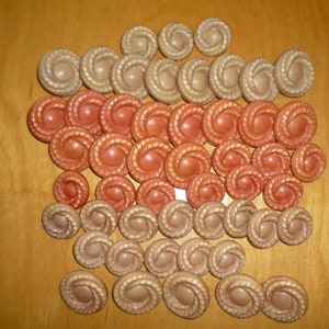 Lot 47 vintage celluloid coat or jacket buttons about 1940 dome rope around nautique 2923 image 1