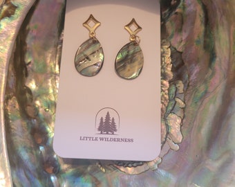 Abalone earrings