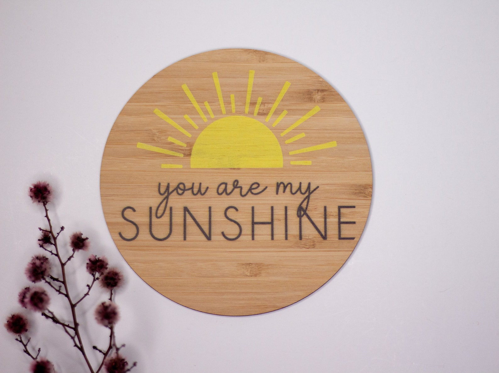You Are My Sunshine Plaque Sunshine Decor Kids Decor Etsy Australia