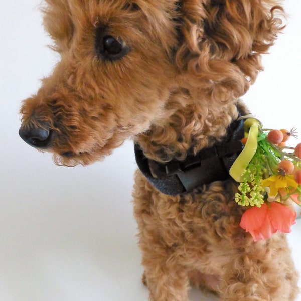 Ready to ship - buttonhole posy, meadow flowers buttonholes, boutonieres, ranunculus, corsage