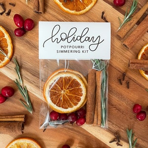Christmas Simmering Potpourri Kits | Stocking Stuffer | All Natural, Non-Toxic | Orange, Clove, Cinnamon, Cranberry, Rosemary