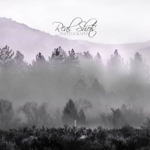 Misty Mountain Fog