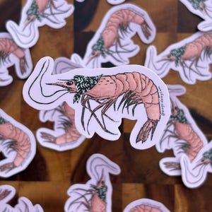May include: A die-cut sticker featuring a pink shrimp wearing a black bandana with a white snowflake pattern. The shrimp is illustrated with black ink outlines and has the text @baysidebysam printed vertically along its curved tail section.