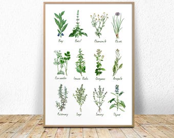 Printable Medicinal Herb Chart