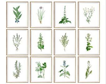 Herb Charts Printable