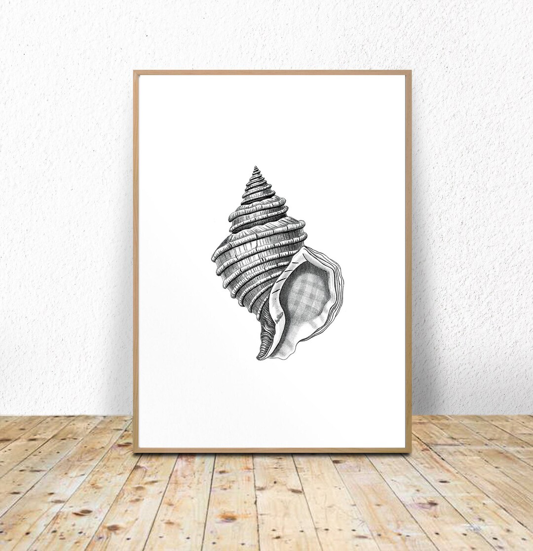 Seashell Printable, Seashell Instant Download, Seashell Art Print ...