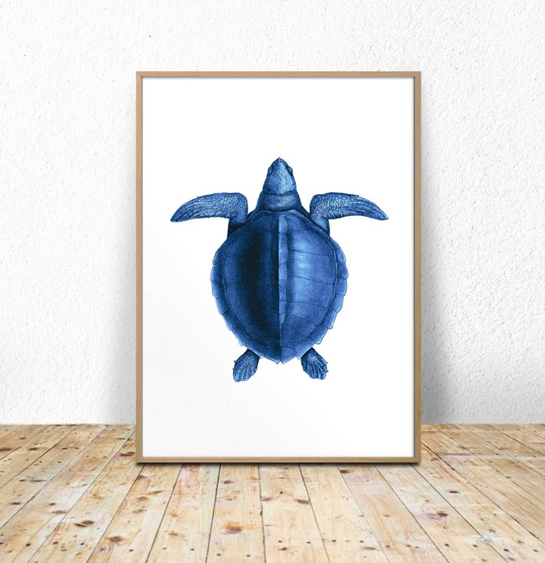 Sea Turtle Printable Sea Turtle Art Wall Art Wall Decor | Etsy