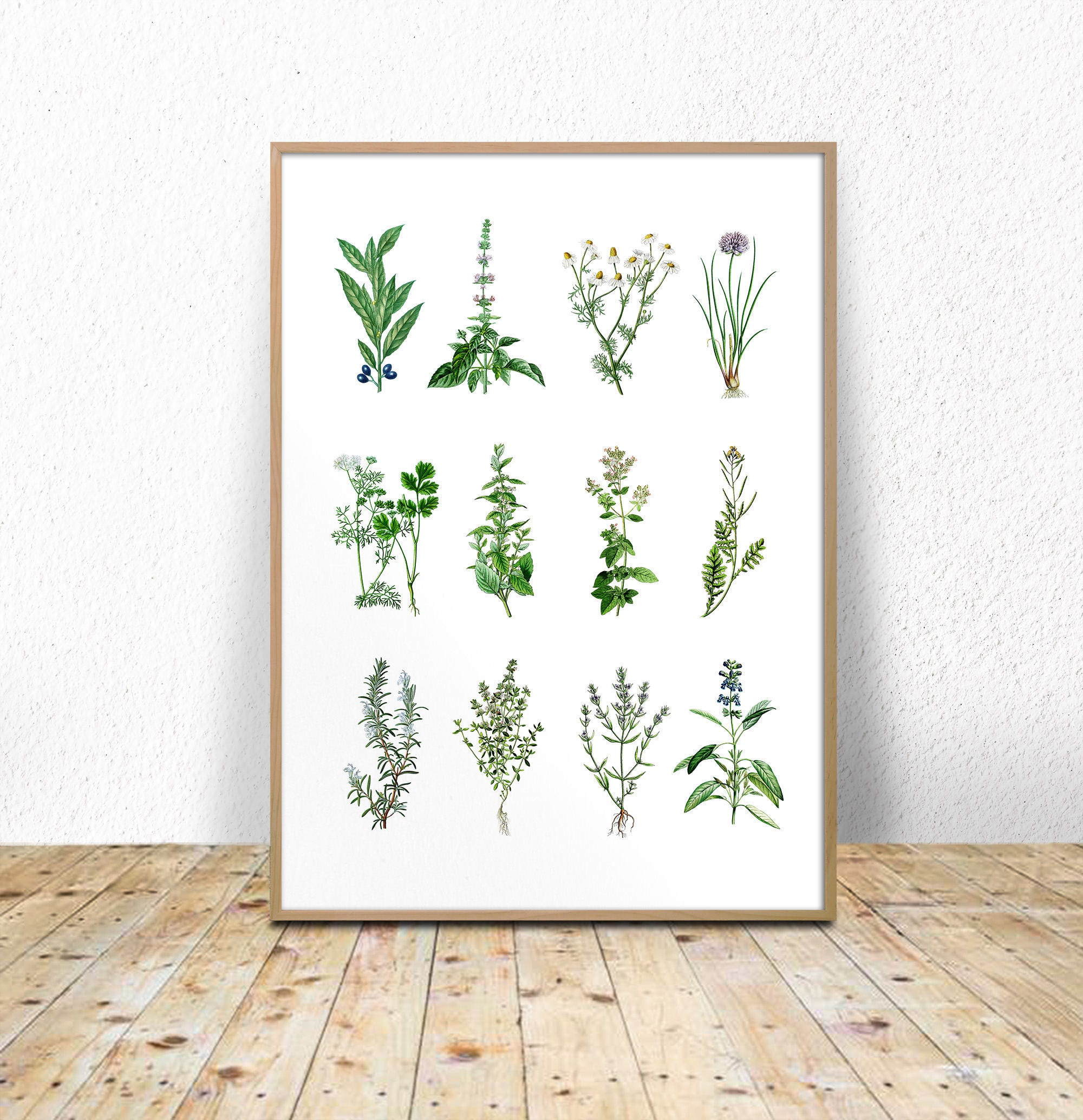 Kitchen Herbs Chart Herbs and Spices Printable Herbs and - Etsy
