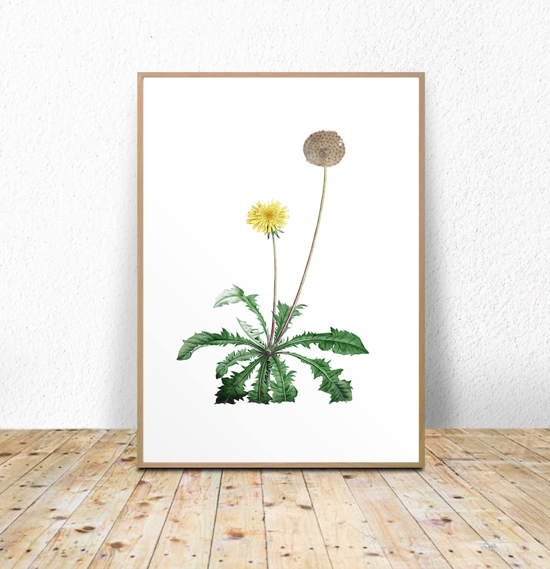 Dandelion Art Print Dandelion Printable Dandelion Wall Art | Etsy