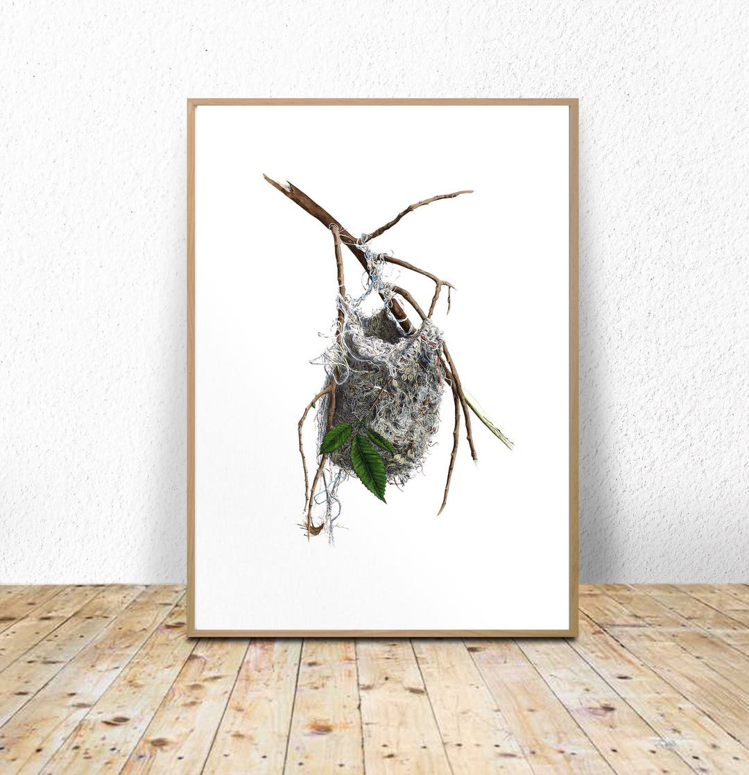 Printable Bird Art, Instant Download, Bird Nest, Bedroom Art Prints ...