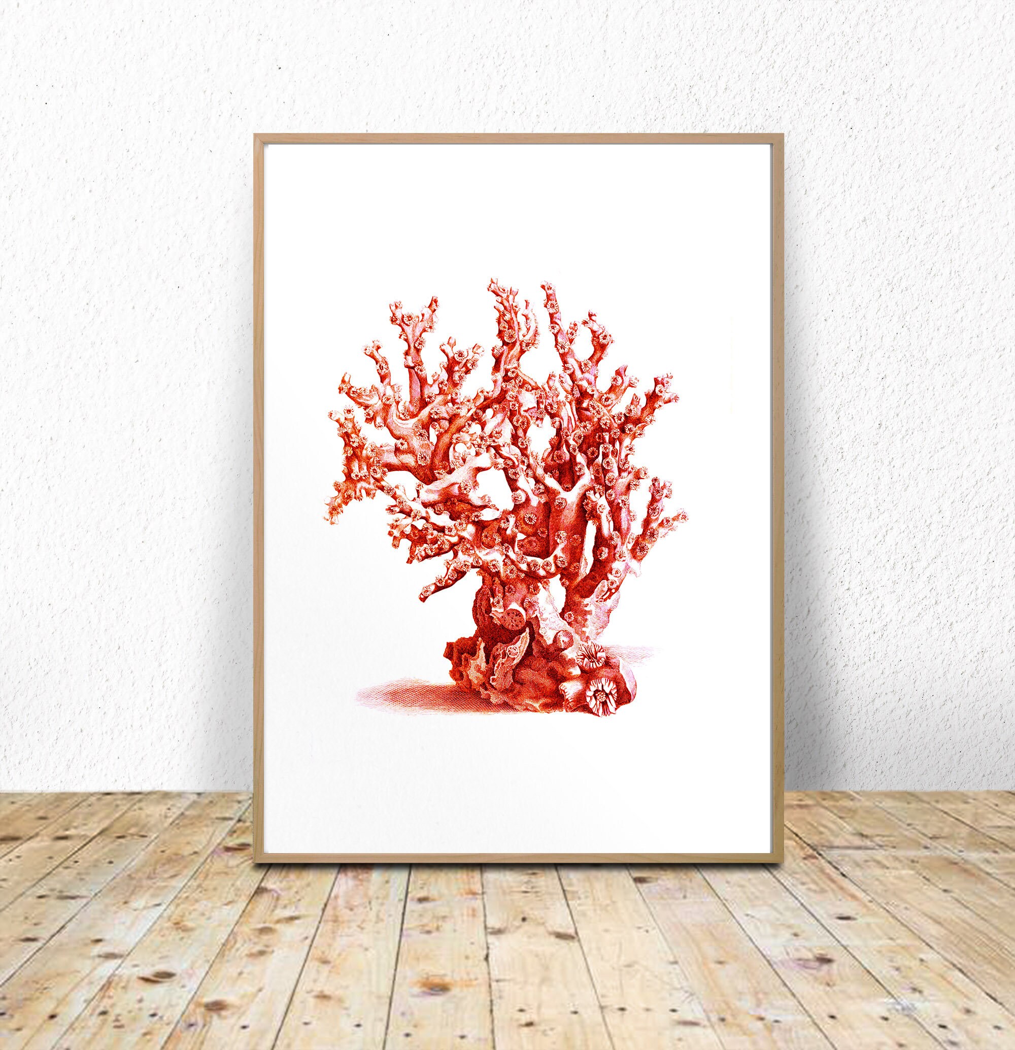 Sea Coral Printable Red sea coral coral wall art digital | Etsy