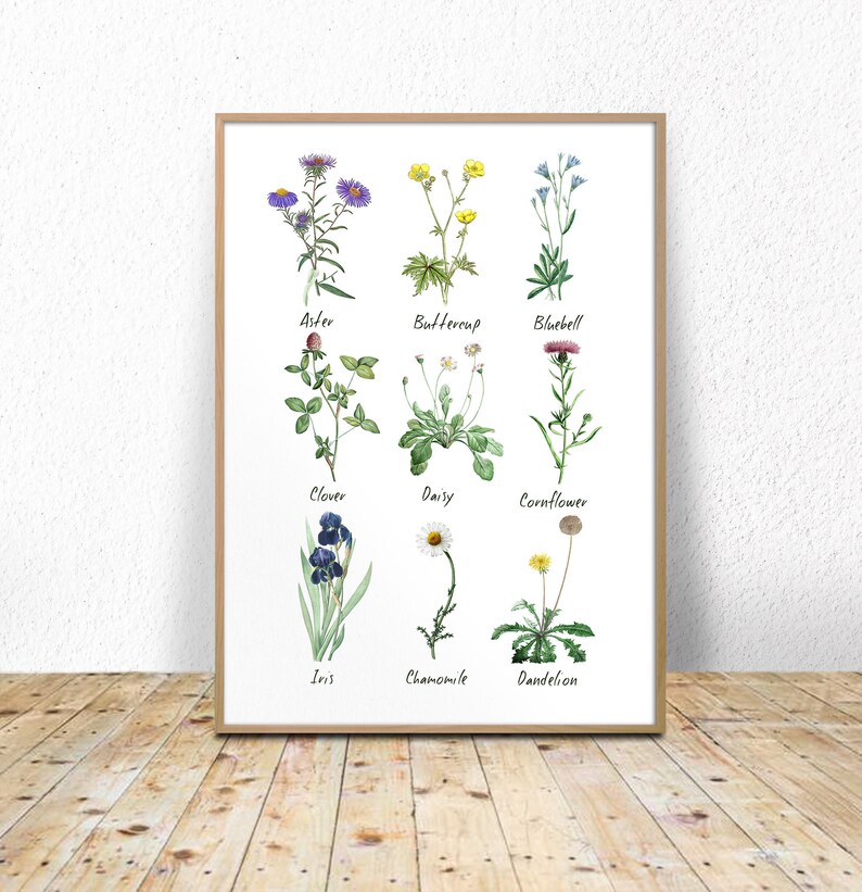 Wild Flowers Chart Flower Species Botanical Titles Etsy UK
