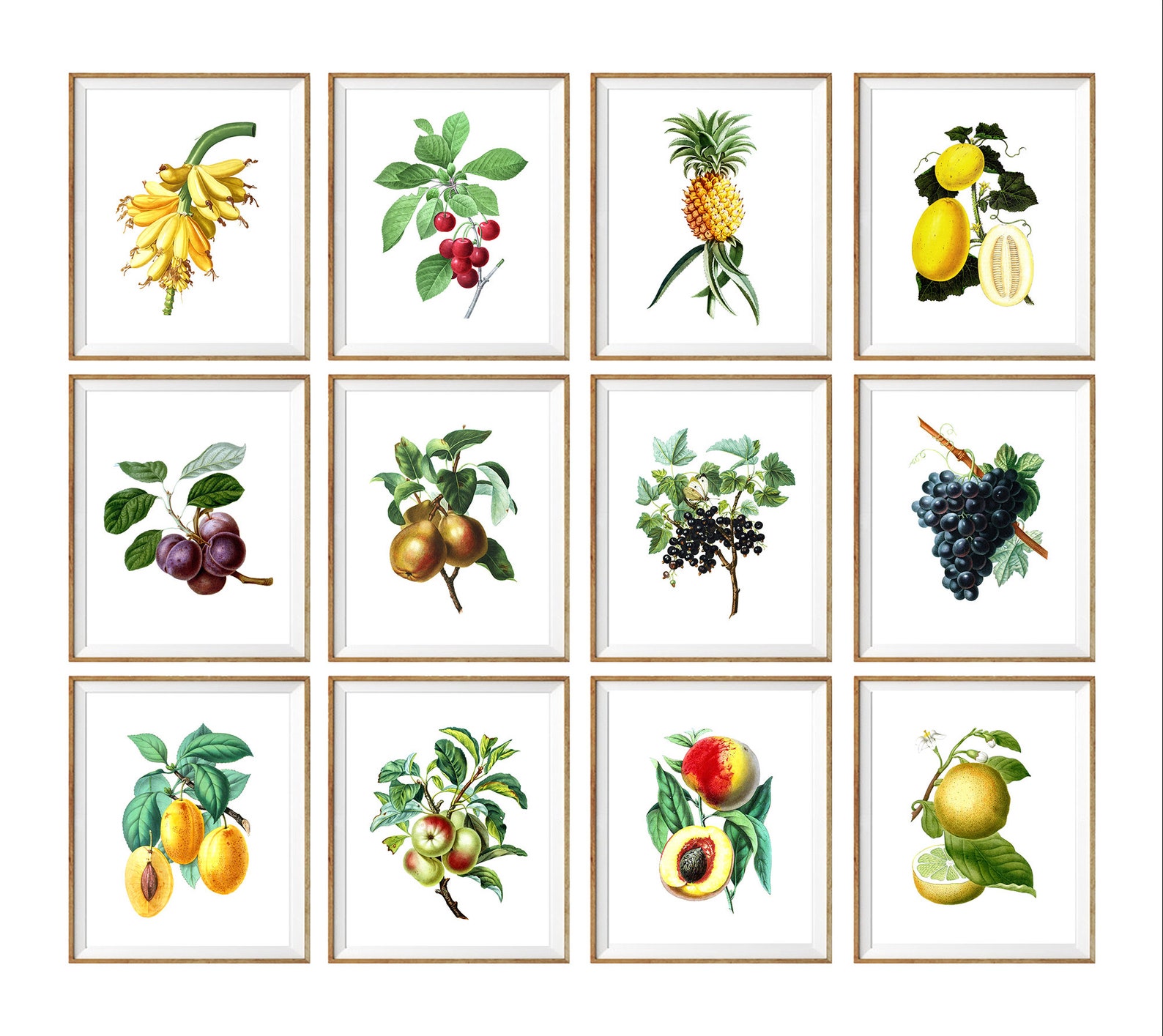 Kitchen Fruit Print Set of 12 Printable Wall Art Colorful Etsy
