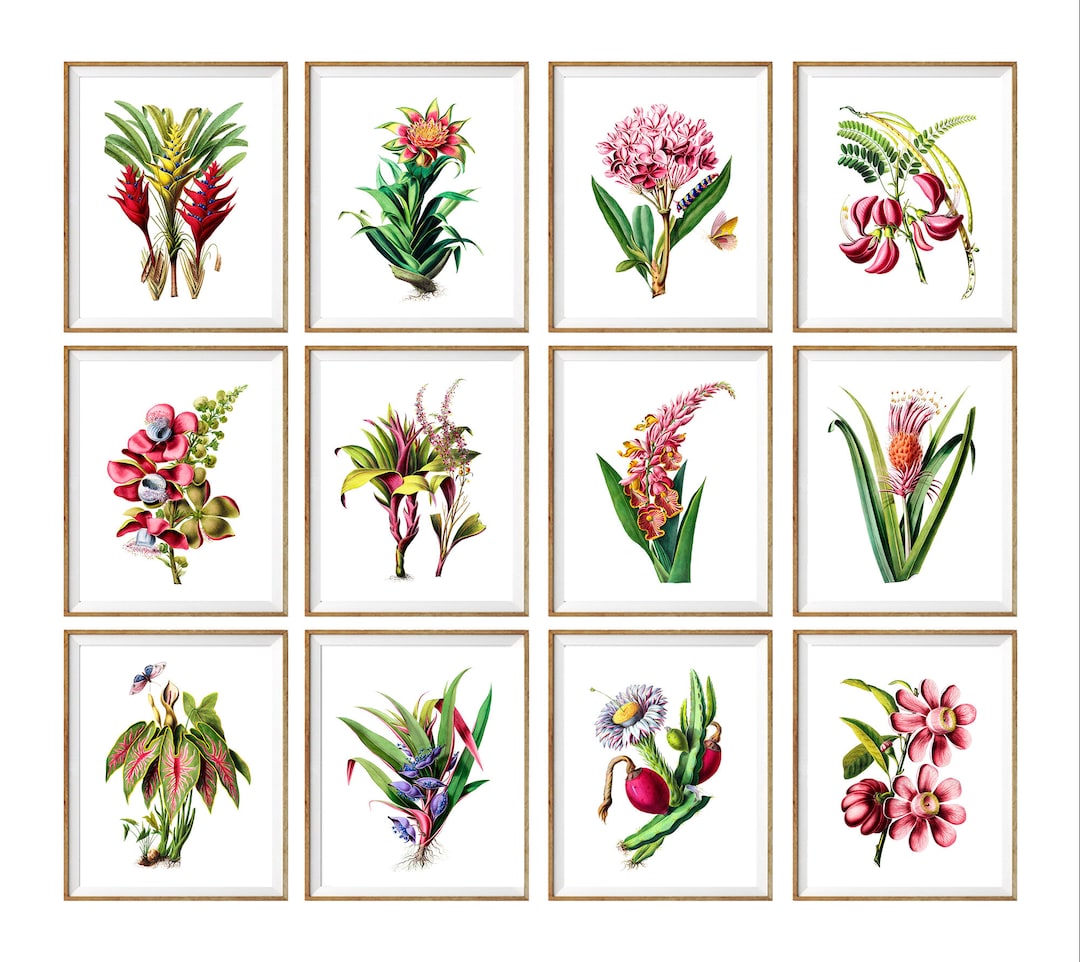 Large Tropical Print Set, Tropical Wall Decor, Tropical Wall Art, Set